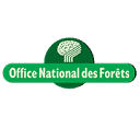 Logo Office national des forêts – Fondation